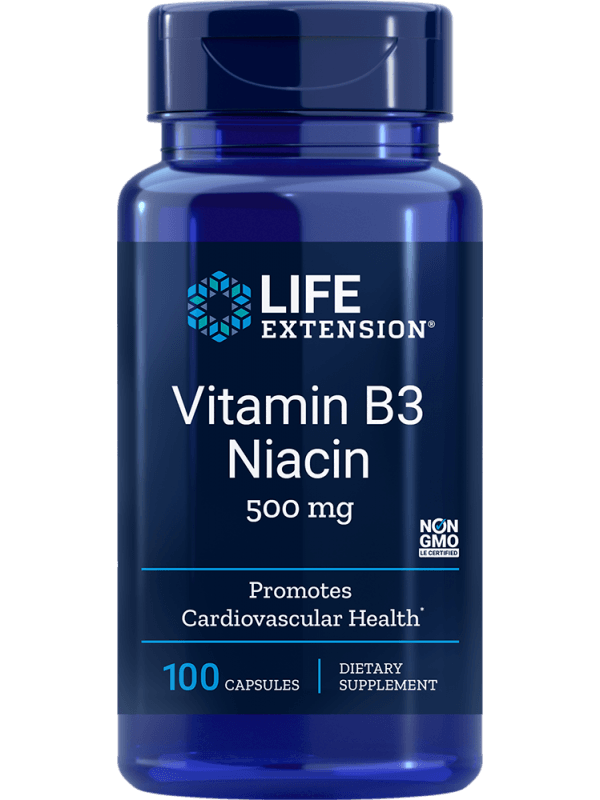VITAMIN B3 NIACIN 500 mg – 100 kaps.