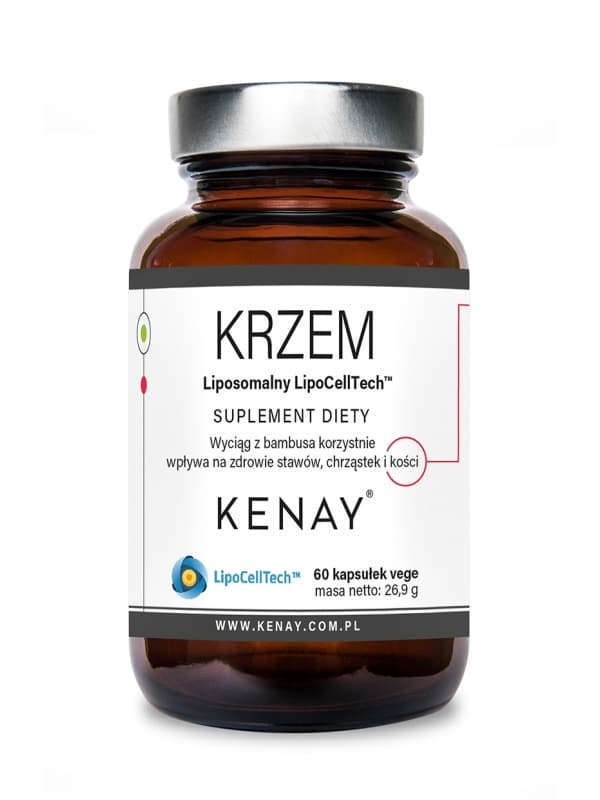 Krzem liposomalny LipoCellTech™ – 60 kaps.
