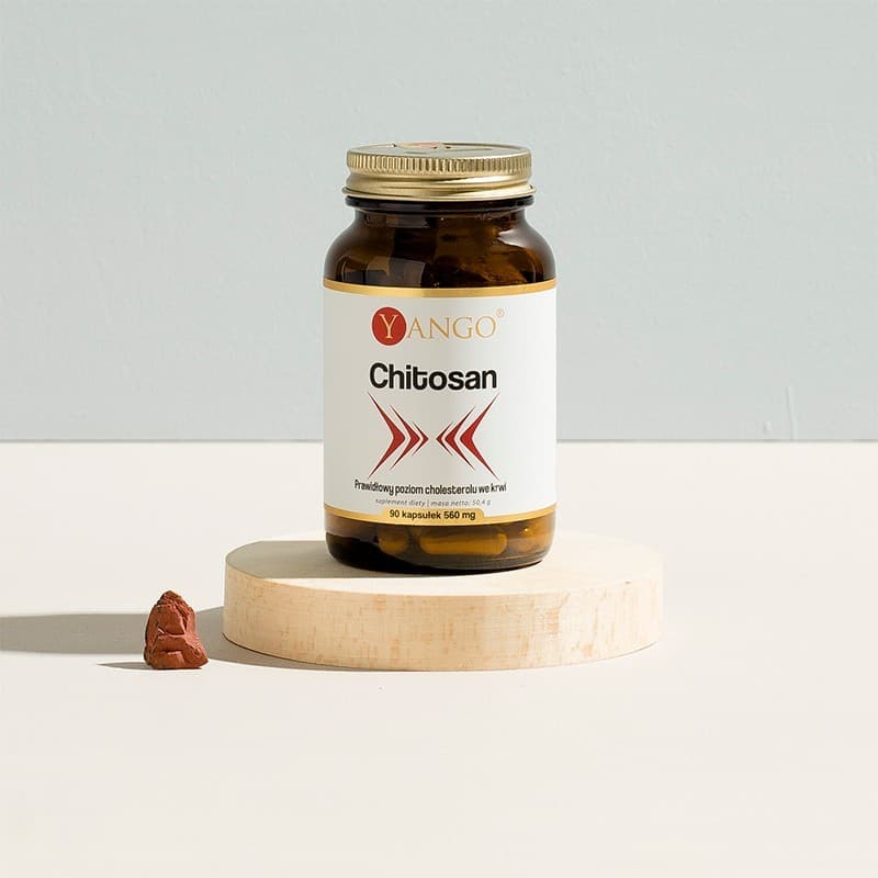 Chitosan - 90 kaps.