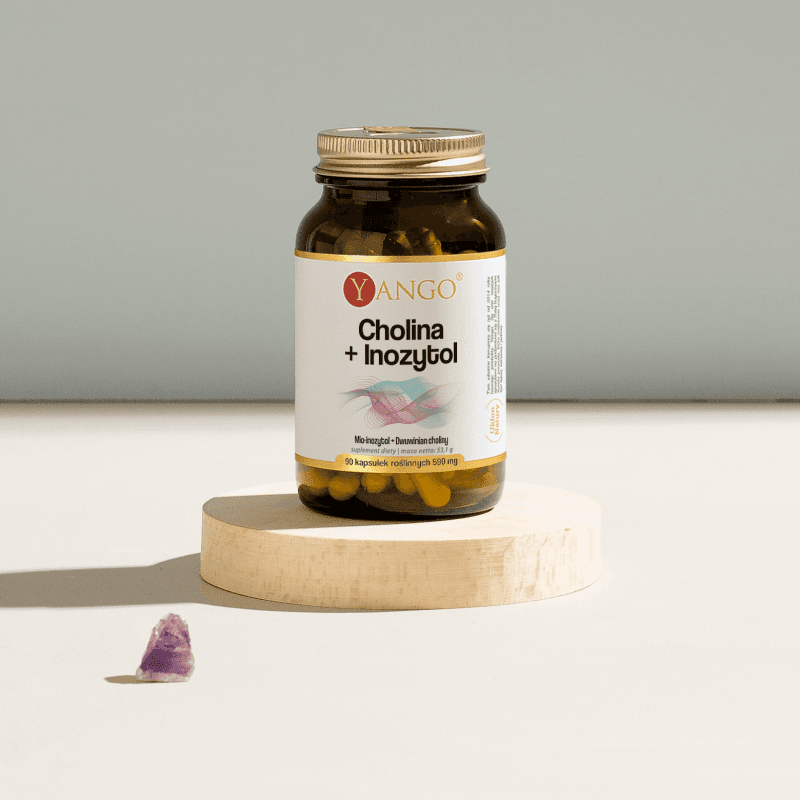 Cholina + Inozytol – 90 kaps.