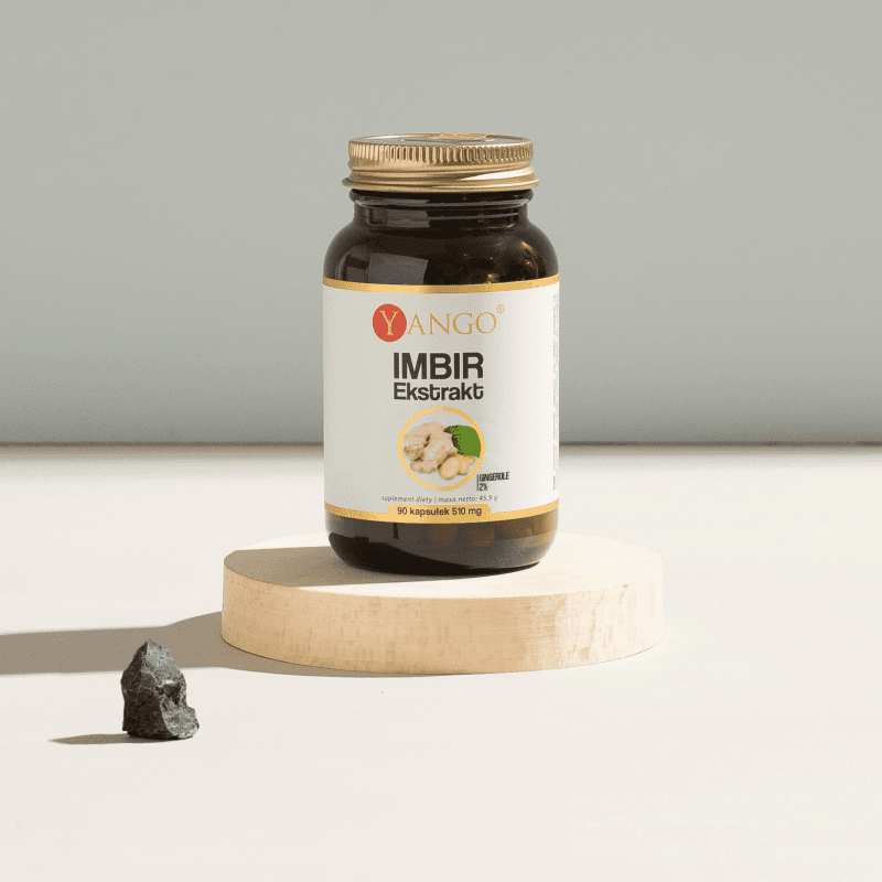 Imbir – ekstrakt – 90 kaps.