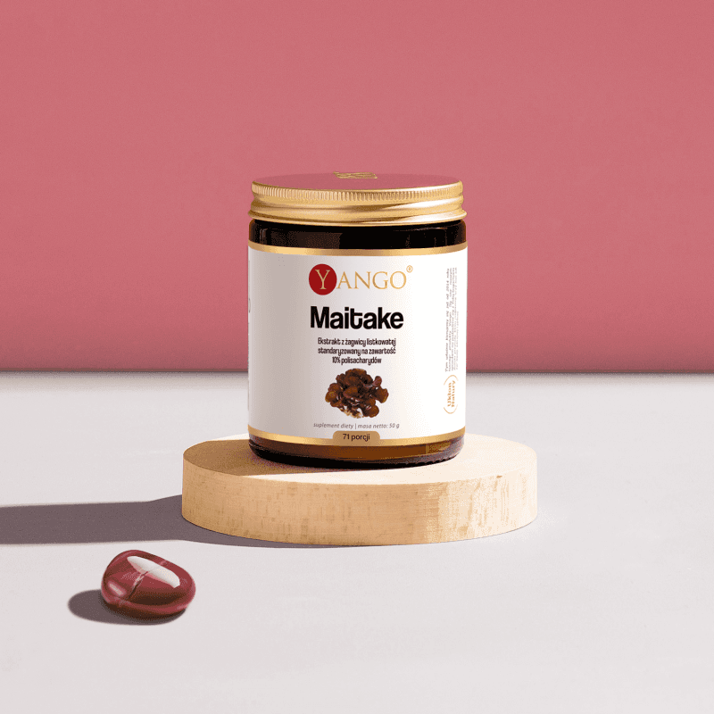 Maitake - ekstrakt 10% polisacharydów - 50 g