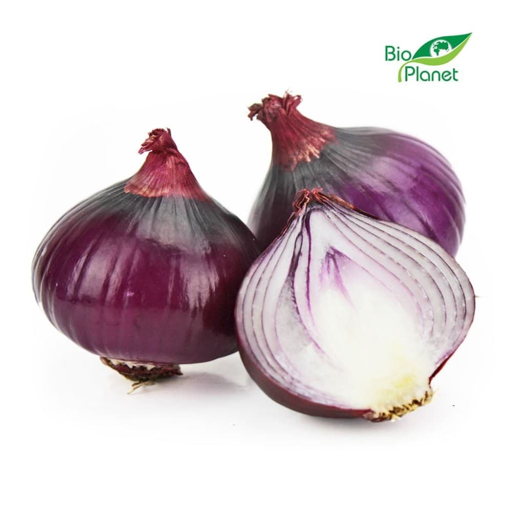 CEBULA CZERWONA ŚWIEŻA BIO (POLSKA) (około 1,00 kg