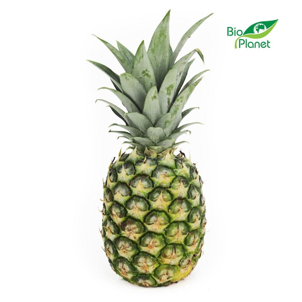 Ananas Świeży BIO