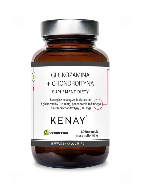 Glukozamina + Chondroityna – 60 kaps.
