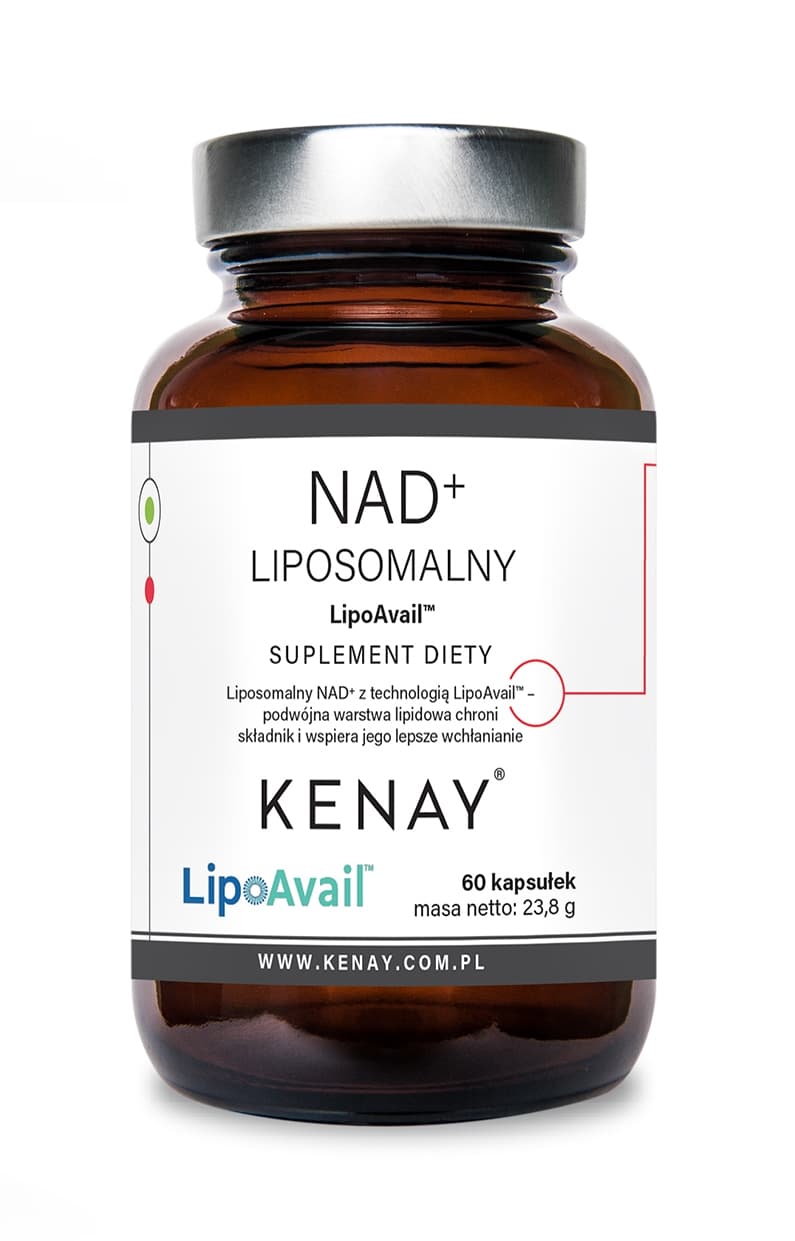 NAD+ LIPOSOMALNY LIPOAVAIL® – 60 kaps.