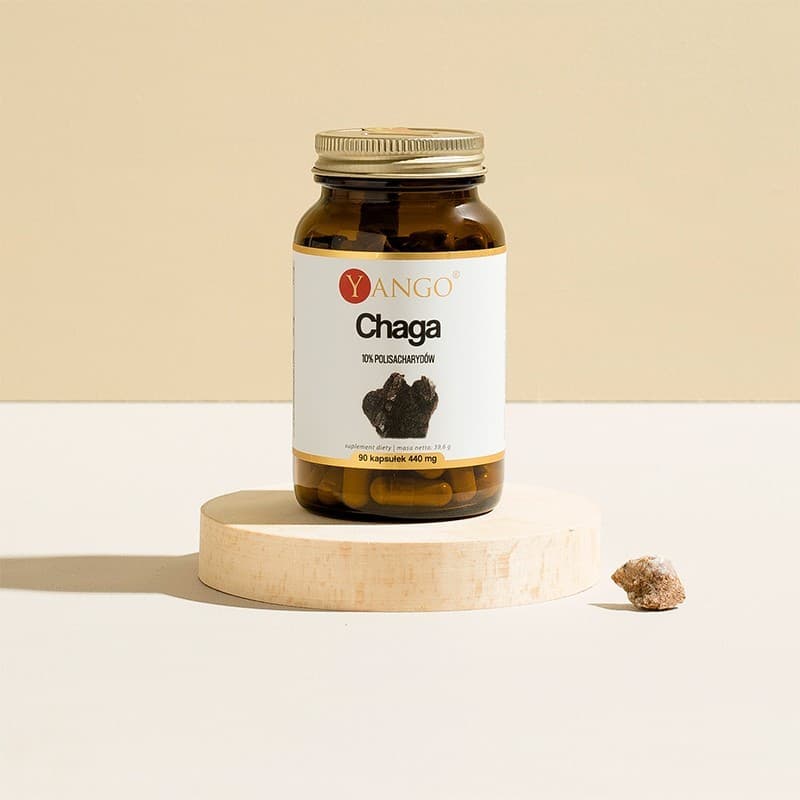 Chaga - ekstrakt 10% polisacharydów – 90 kaps.