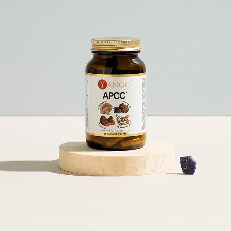APCC™ – reishi, shitake, kordyceps, chaga – 50 kaps.