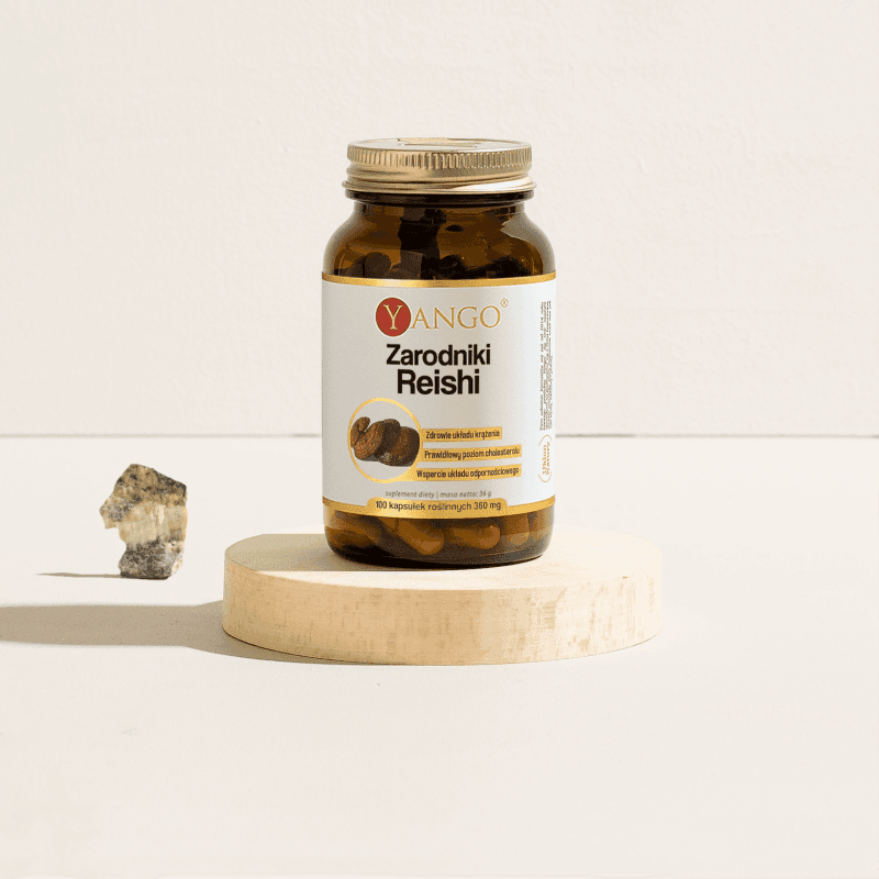 Zarodniki Reishi – 100 kaps.